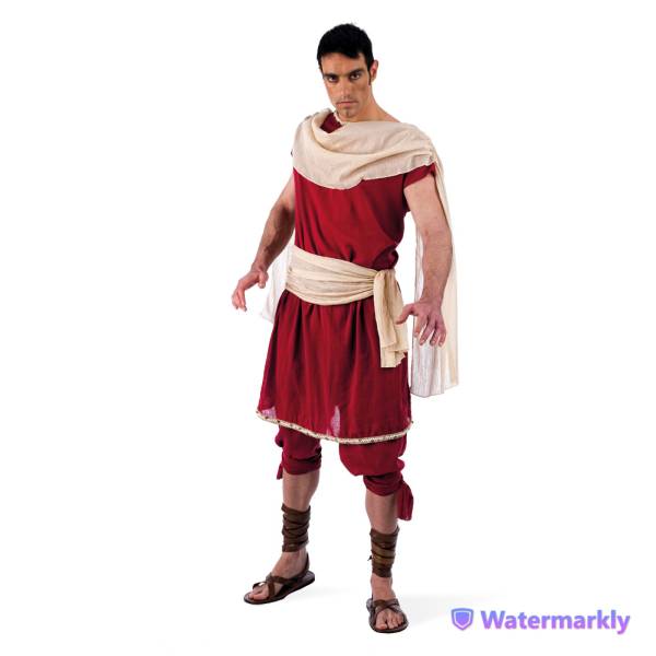 toulouse 31 Theon d'alexandrie