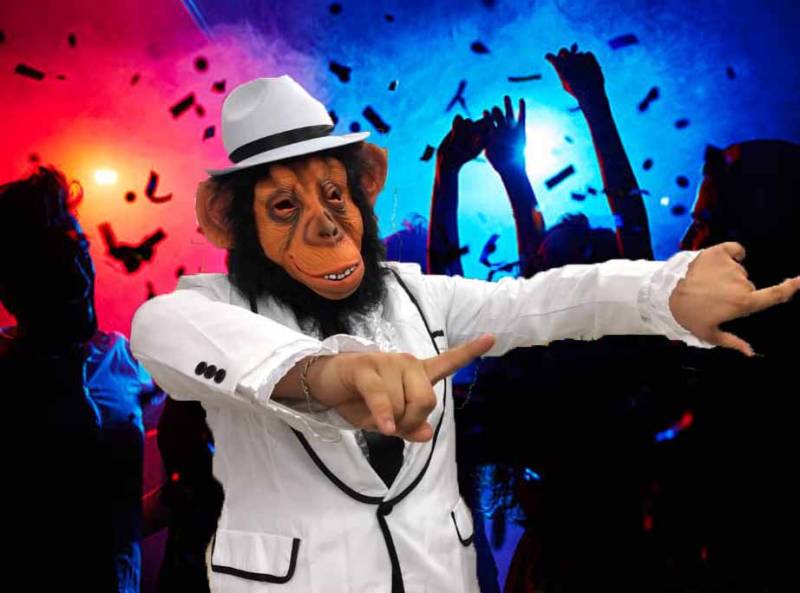 masque singe latex toulouse