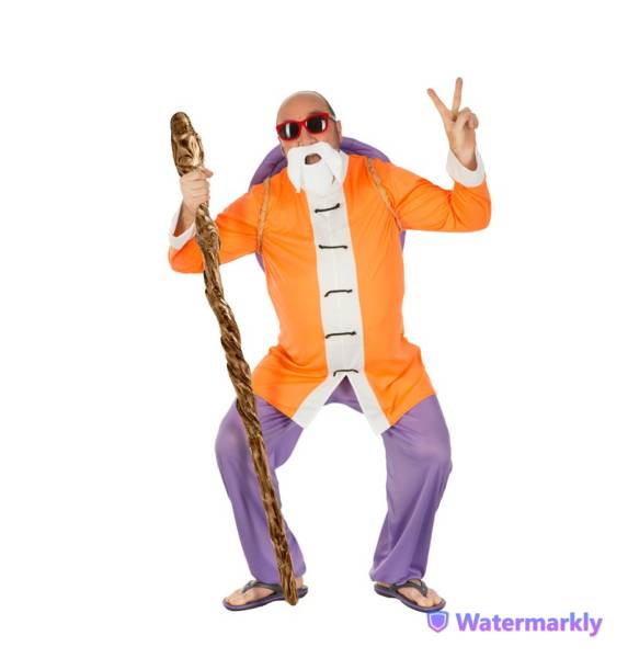 Tortue géniale (DBZ)